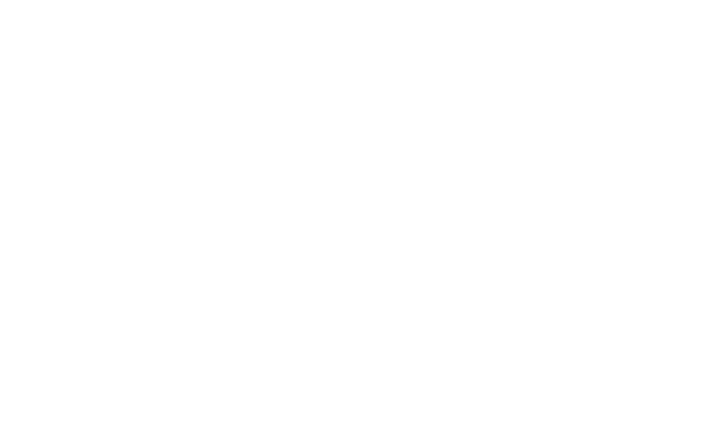 cockatoo